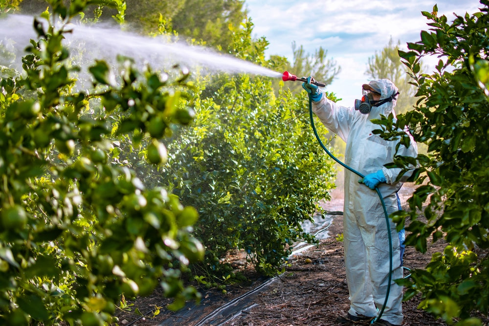 Hvordan aktivt kul kan filtrere pesticider og organiske stoffer fra dit drikkevand